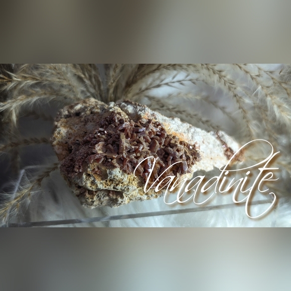 Rare Vanadinite Crystal Cluster - Picture 6 of 9